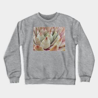 Chicken & Hen Closeup Crewneck Sweatshirt